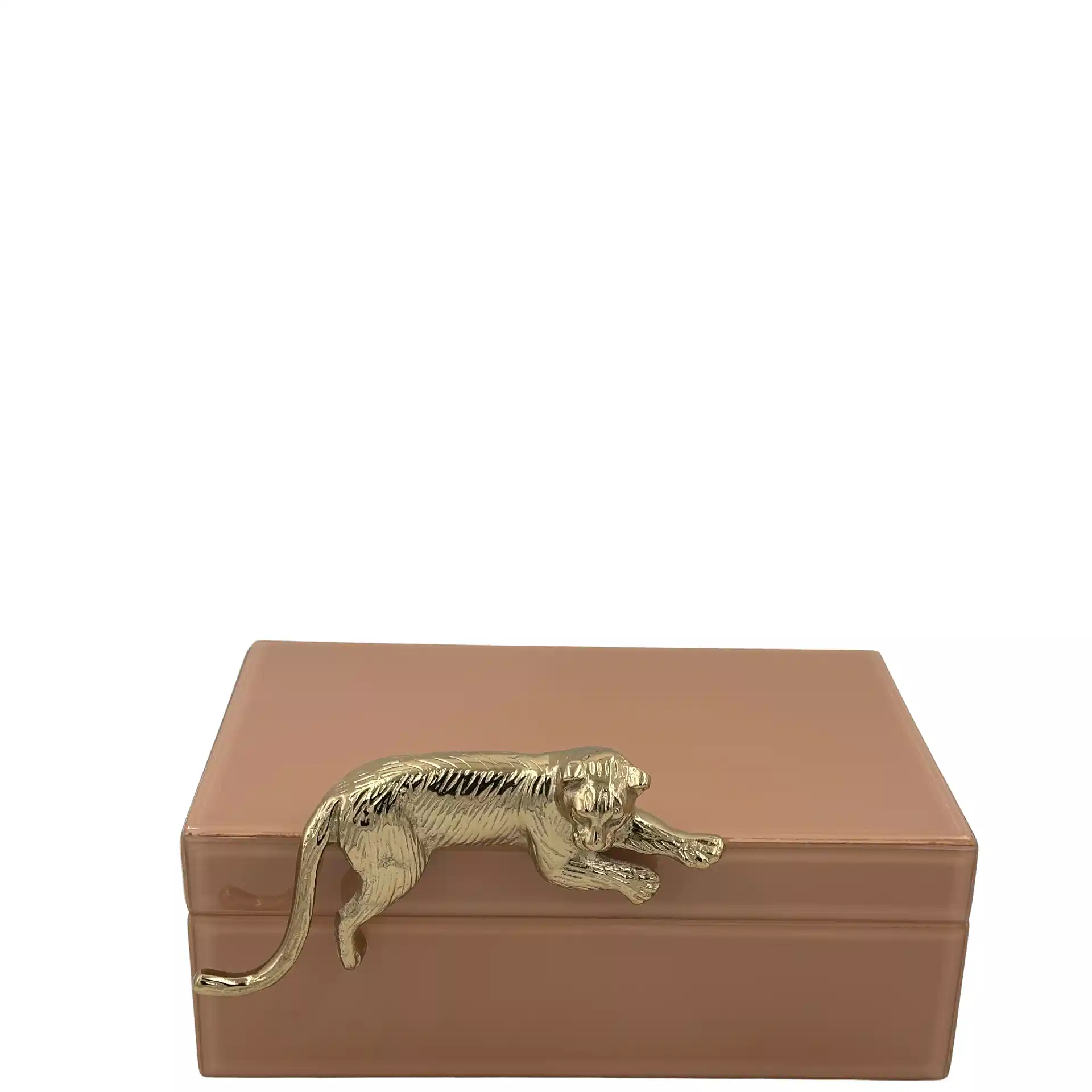 Somon Renkli Cam Dekoratif Kutu