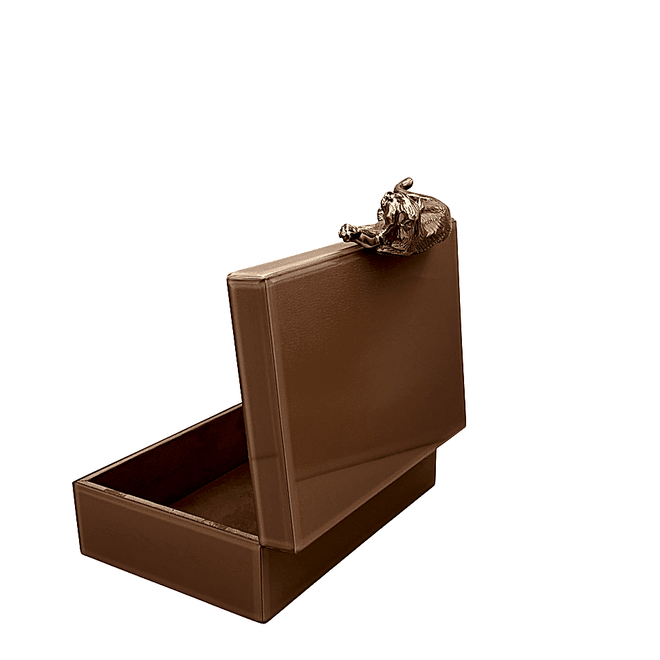 Somon Renkli Cam Dekoratif Kutu