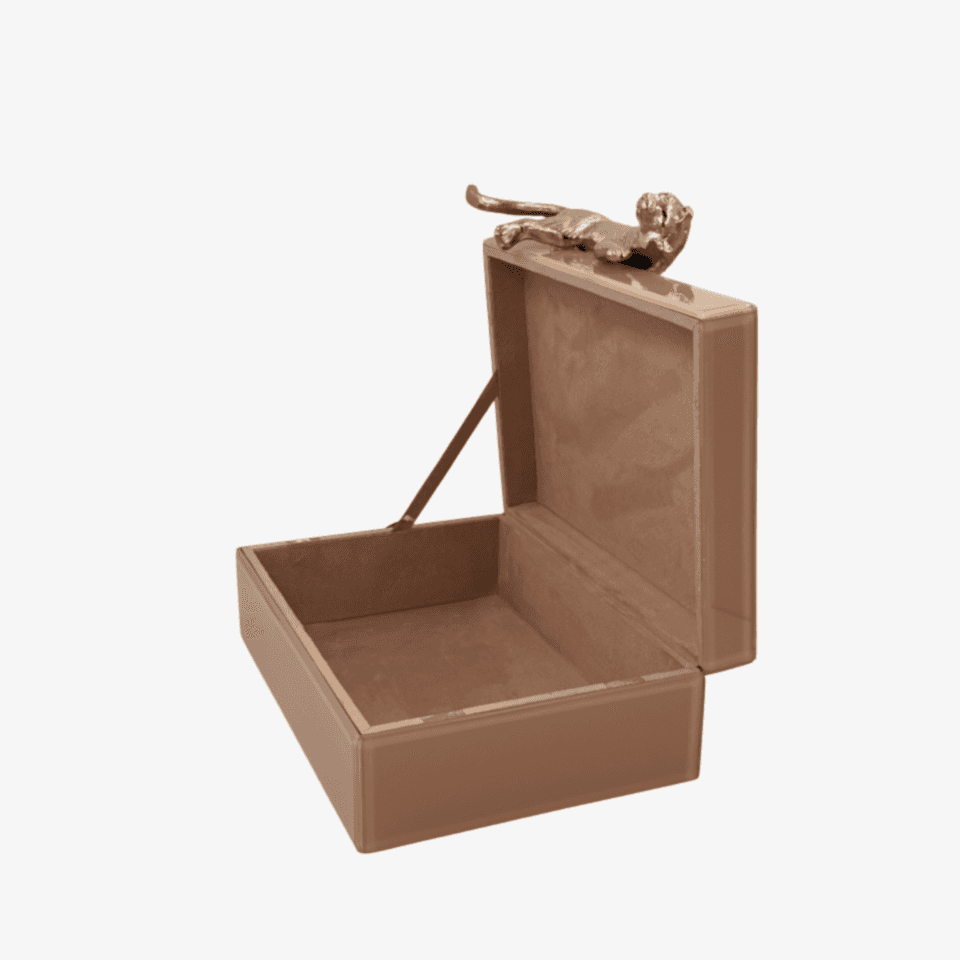 Somon Renkli Cam Dekoratif Kutu