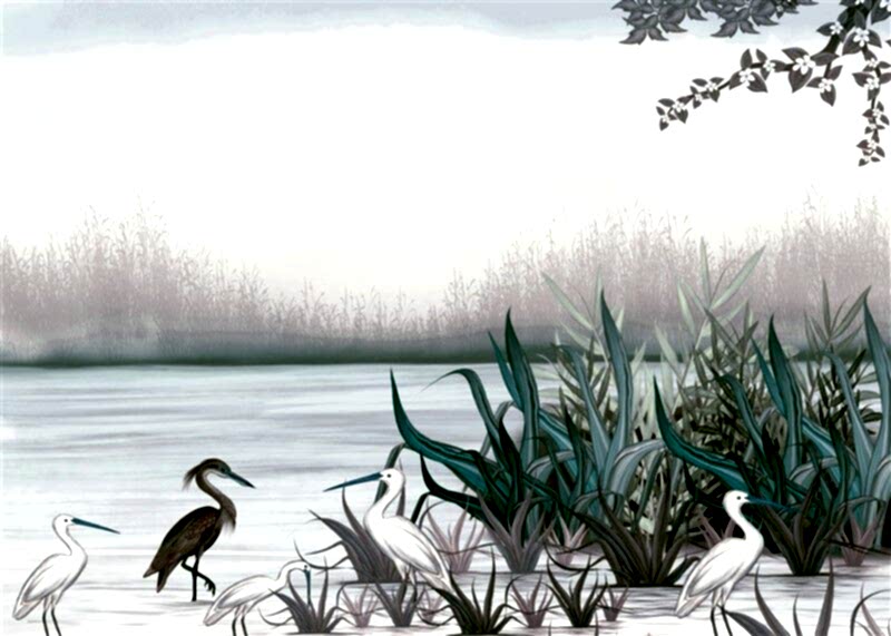 Özel Üretim EB0170