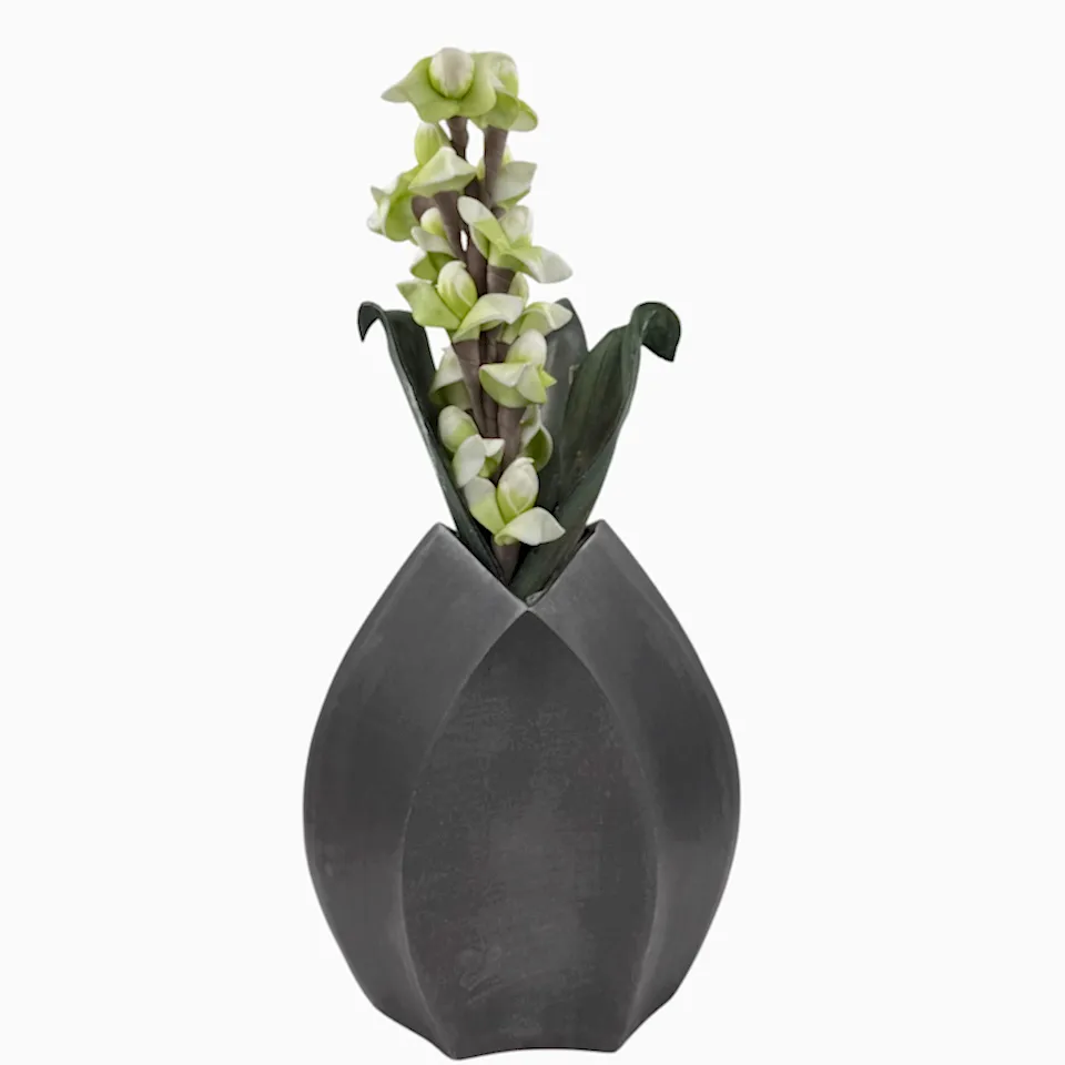 Tenit Çiçeği Yeşil