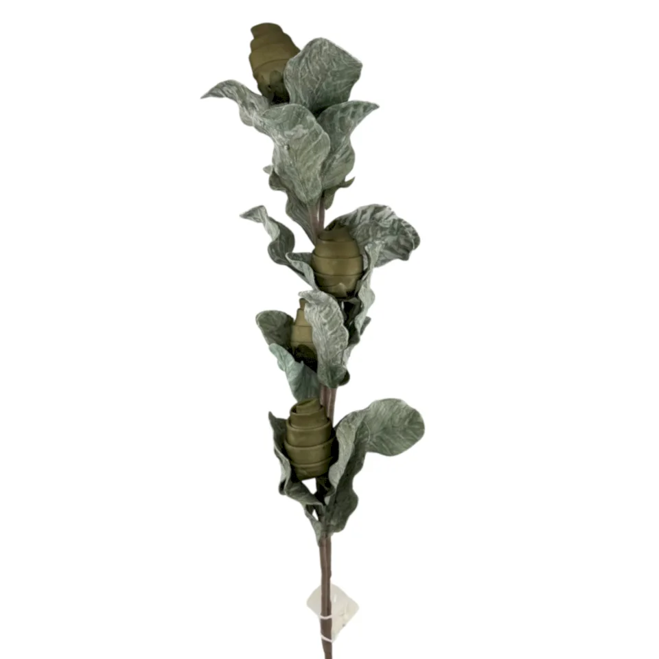 Yeşil 5'li Spiraller