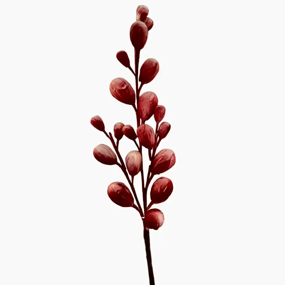 Tomurcuk Dal Turuncu Kırmızı