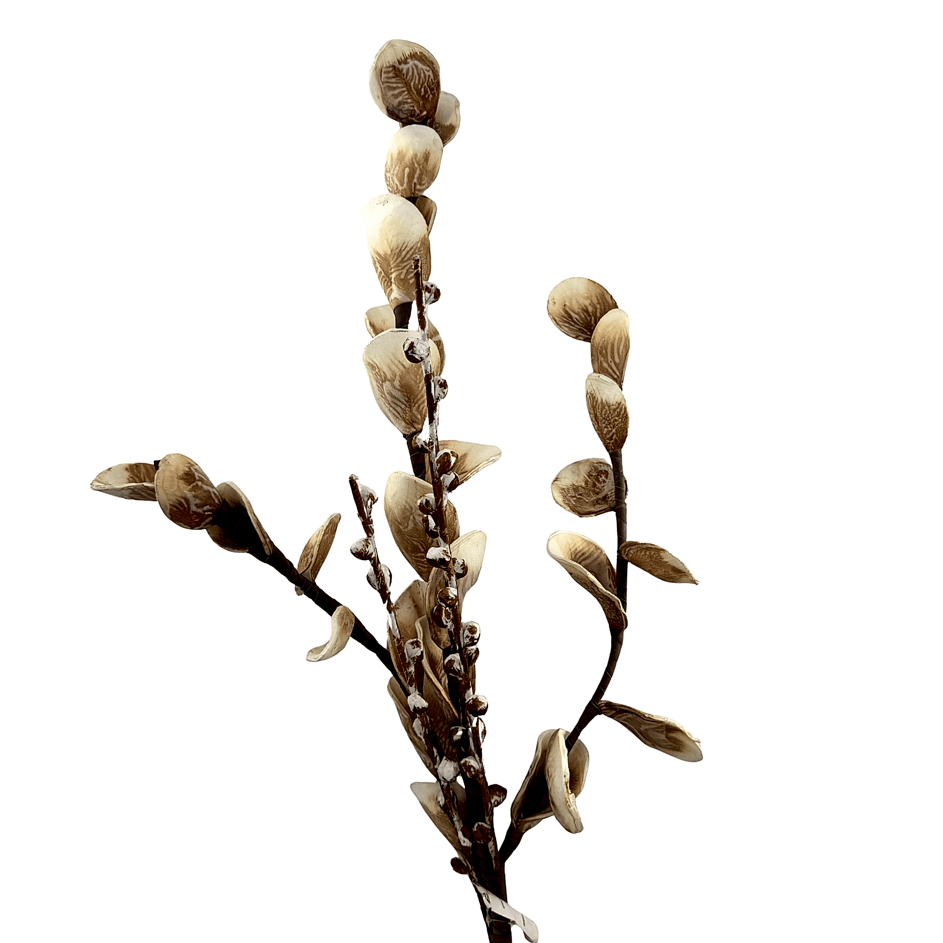 Nora Kahve Beyaz Tomurcuklu