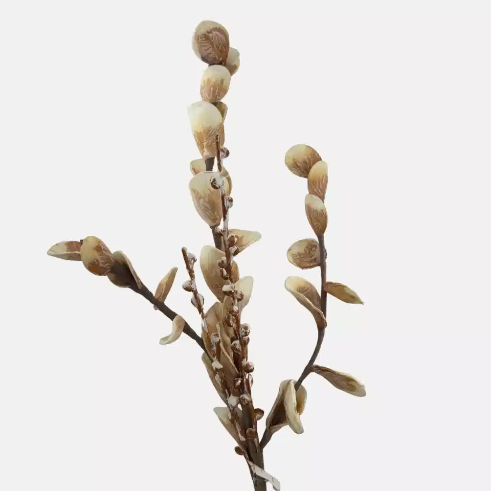 Nora Kahve Beyaz Tomurcuklu